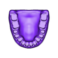 gum lower - Lammesky.stl Dental Teeth training Model