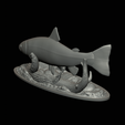 pstruh-klacky-1-17.png rainbow trout 2.0 underwater statue detailed texture for 3d printing