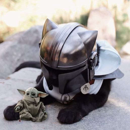 MANDO CAT - Helmet