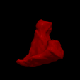 12.png 3D Heart Model - generated from real patient