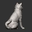 shiba-inu9.jpg shiba inu 3D print model