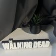 IMG_8792.jpg THE WALKING DEAD DECOR ART