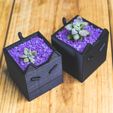 Pot à plantes pour chat
