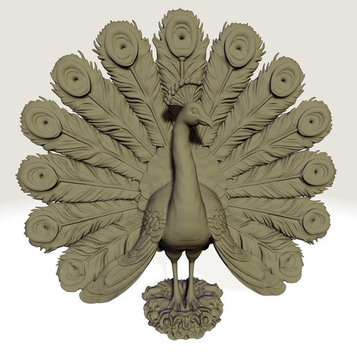 PEACOCK 3D model preview
