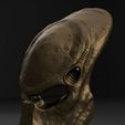 il_1140xN.5463837580_qa14.jpg Predator City Hunter | Predator mask.
