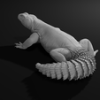 Pose1back-min.png Uromastyx - Spiny Tailed Lizard - Realistic Dabb Lizard Pet Reptile