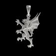15.jpg 00039 Dragon Small Charm Pendant