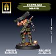colonel-6.jpg Commando Colonel
