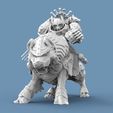 Wolf_Captain_5.jpg Free STL file Viking Wolf Rider Captain・Template to download and 3D print