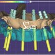 zas22.jpg 3D Dental Laboratory Designs