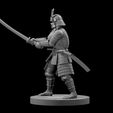 a4b1a4a0-1628-439a-98da-b45240c5d34d.jpg Samurai minis