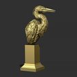 24.jpg Grey Heron bust