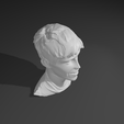 Captura-de-pantalla-2025-08-06-211758.png Marcus Armstrong - Premium Statue