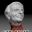 Screen_Shot_21-Feb-21_at_7.59_PM.jpg Caricature Sculpture of Carl Sagan