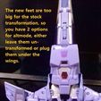20230321_200148.jpg Kingdom Cyclonus feet