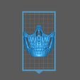 c5.jpg Decorative Stylized Skull Mask