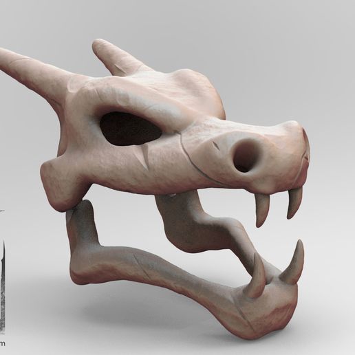 untitled.176.jpg Charizard Skull 3d printing model