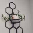 IMG_20210525_144825202.jpg Modular Hexagon Flower Stand – Customizable Plant Display (3D Printed, ABS/ASA Assembly)
