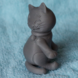 Capture_d__cran_2015-09-07___10.27.57.png look back cat