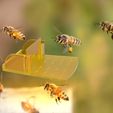 Honey.2.jpg Beehive Door Entrance Platform German Standard 3D print model