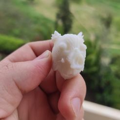 WhatsApp-Image-2021-05-04-at-13.19.24.jpeg Free STL file inosuke keychain・3D print design to download