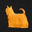 580-Australian_Silky_Terrier_Pose_01.jpg Australian Silky Terrier Dog 3D Print Model Pose 01