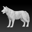 lobo-2.png Standing Wolf