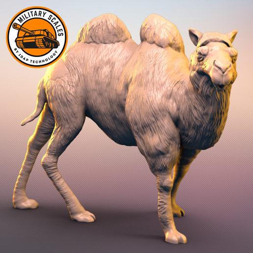 Bactrian-Camel-2.png Camel Bactrian #2