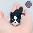 403632754_328651173417034_5694761200517703491_n.jpg Baby Dog and Cat Flexi Keychains (Set of 8.)
