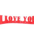 IMG_20240120_154316.jpg I Love You" 3D Articulated Letters - Message of Affection