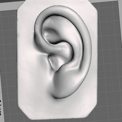 Screenshot-2023-05-30-205601.png Archivo STL gratis Miguel Ángel Dibujo al oído Estudio de molde・Objeto de impresión 3D para descargar