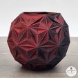 Black-and-Red-Celestial-Blooms-Planter.jpg Geometric Flower Pot - Modern Celestial Planter