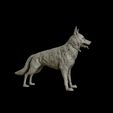 23.jpg German Shepherd model 3D print model