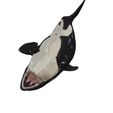 234.jpg ORCA Killer Whale Dolphin FISH sea CREATURE 3D ANIMATED RIGGED MODEL