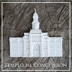 WhatsApp-Image-2023-04-12-at-12.34.11-AM.jpeg Concepcion Temple LDS Relief