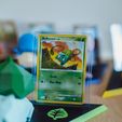 IMG_0021.jpg Pokemon Card Stands