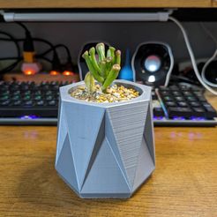 STL file Shell Planter 🐚・3D print design to download・Cults