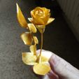 1.jpg My Golden Rose