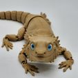 Bearded Dragon Articulated Toy, Print-In-Place Body, Snap-Fit Head, Cute Flexi