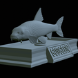 Gudgeon-statue-19.png fish gudgeon / gobio gobio statue detailed texture for 3d printing