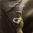 01Haft.jpg David Haft Anatomy ART