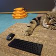 IMG_20230322_190032.jpg tiny keyboard and mouse for  cat mini clavier et souris pour chat (solid)