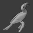 Hornbill_front.png Hornbill