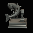 coalfish-open-mouth-statue-box-55.png COALFISH / POLLACHIUS VIRENS trophy with storage space for 3d printing