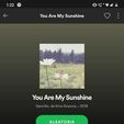 you are my sunshine 3.jpg Spotify code keychain