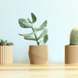 COL-WAV-JAP_FRONT_PLANT.jpg SET OF 4 MINIMAL PLANT POTS FOR SUCCULENTS AND CACTI READY TO BE PRINTED ON WOOD PLA