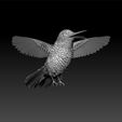 a11.jpg hummingbird