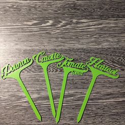 IMG_2.jpeg Fichier STL gratuit pancarte pour légumes du jardin・Modèle à télécharger et à imprimer en 3D
