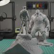 b4d3a817.jpg Wolverine vs Hulk DIORAMA - sem cortes