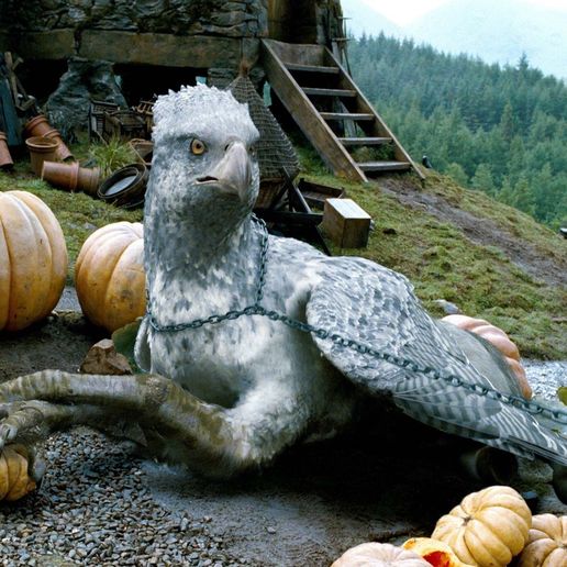 a95477adcc24815a825c94889b458746.jpeg harry potter animal ceiling light